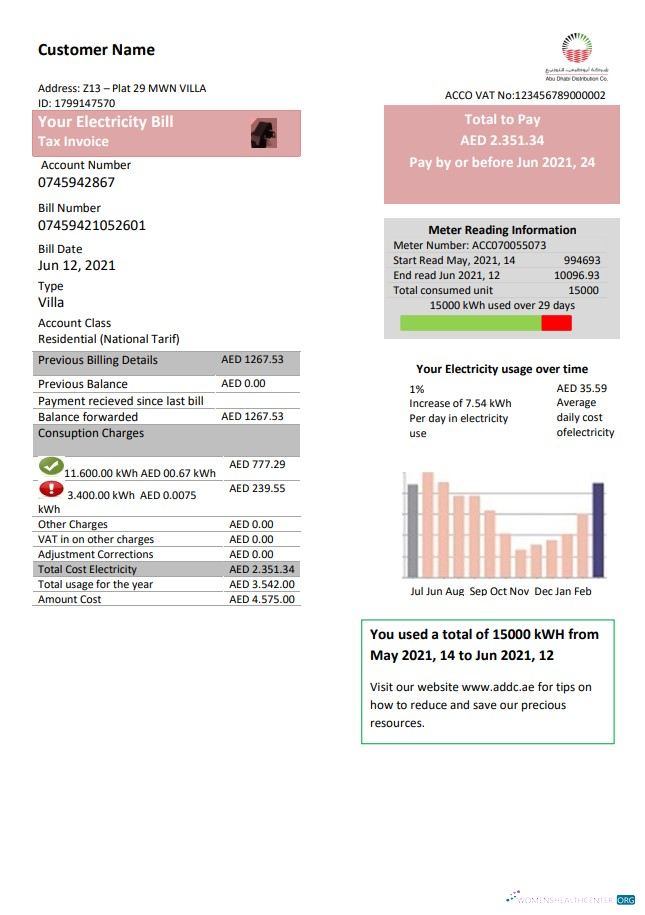 United Arab Emirates Abu Dhabi Distribution electricity utility bill template in Word and PDF format